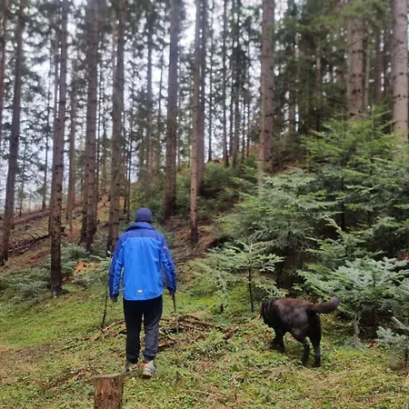 Διαμέρισμα Deki *